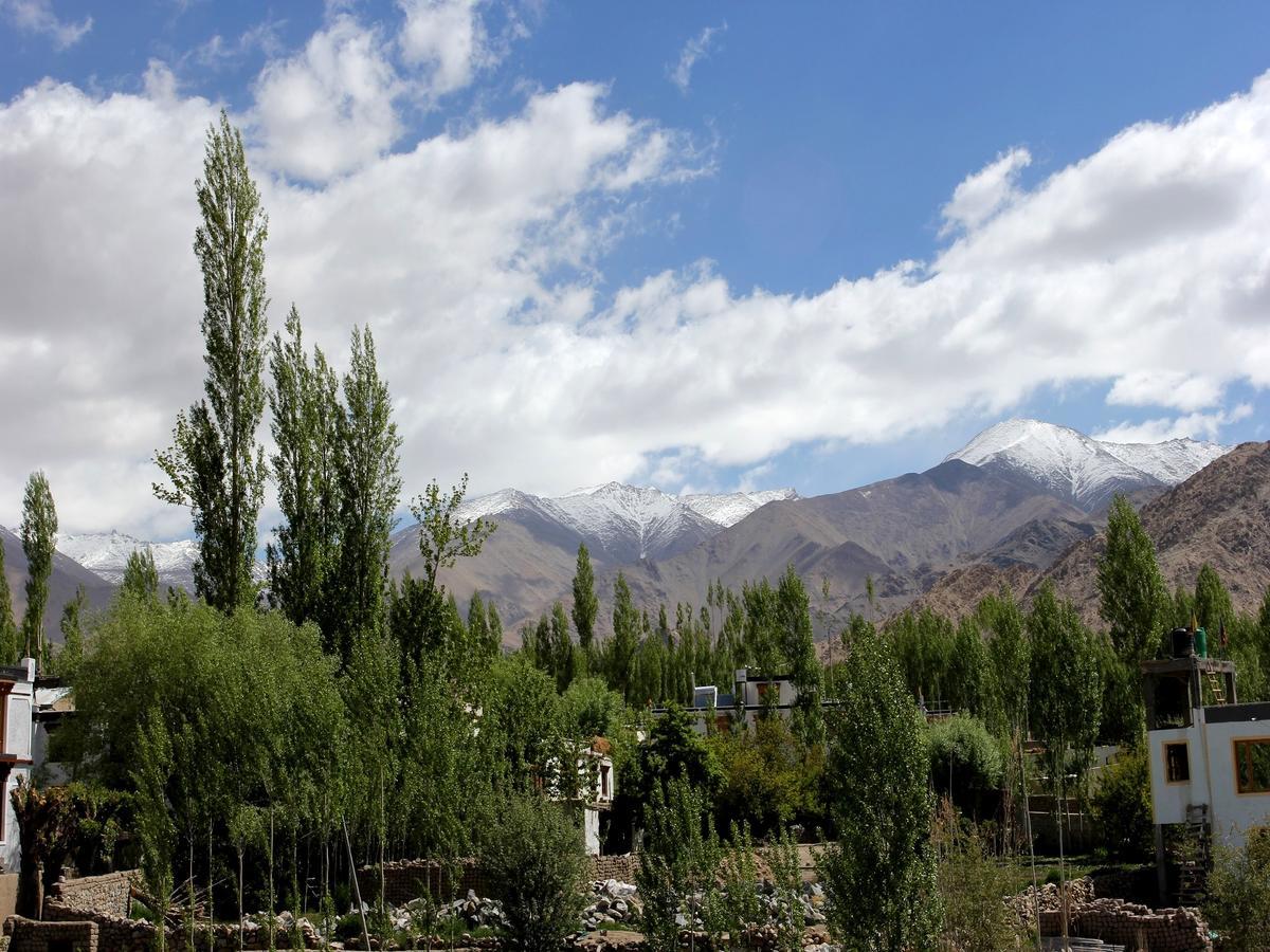 Hotel Mahay Palace Leh Exterior foto