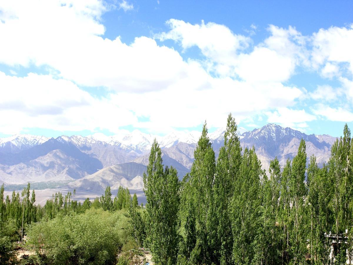 Hotel Mahay Palace Leh Exterior foto