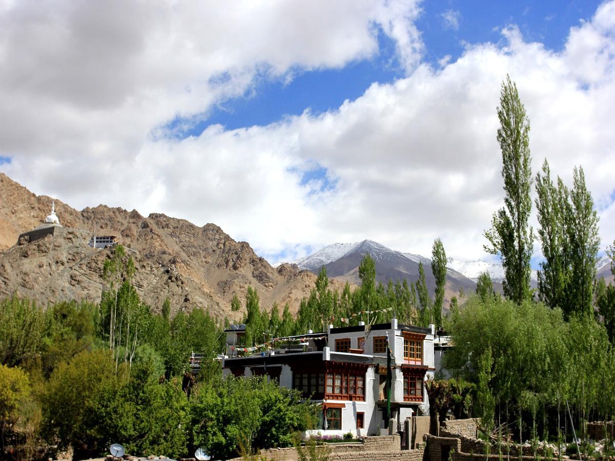 Hotel Mahay Palace Leh Exterior foto