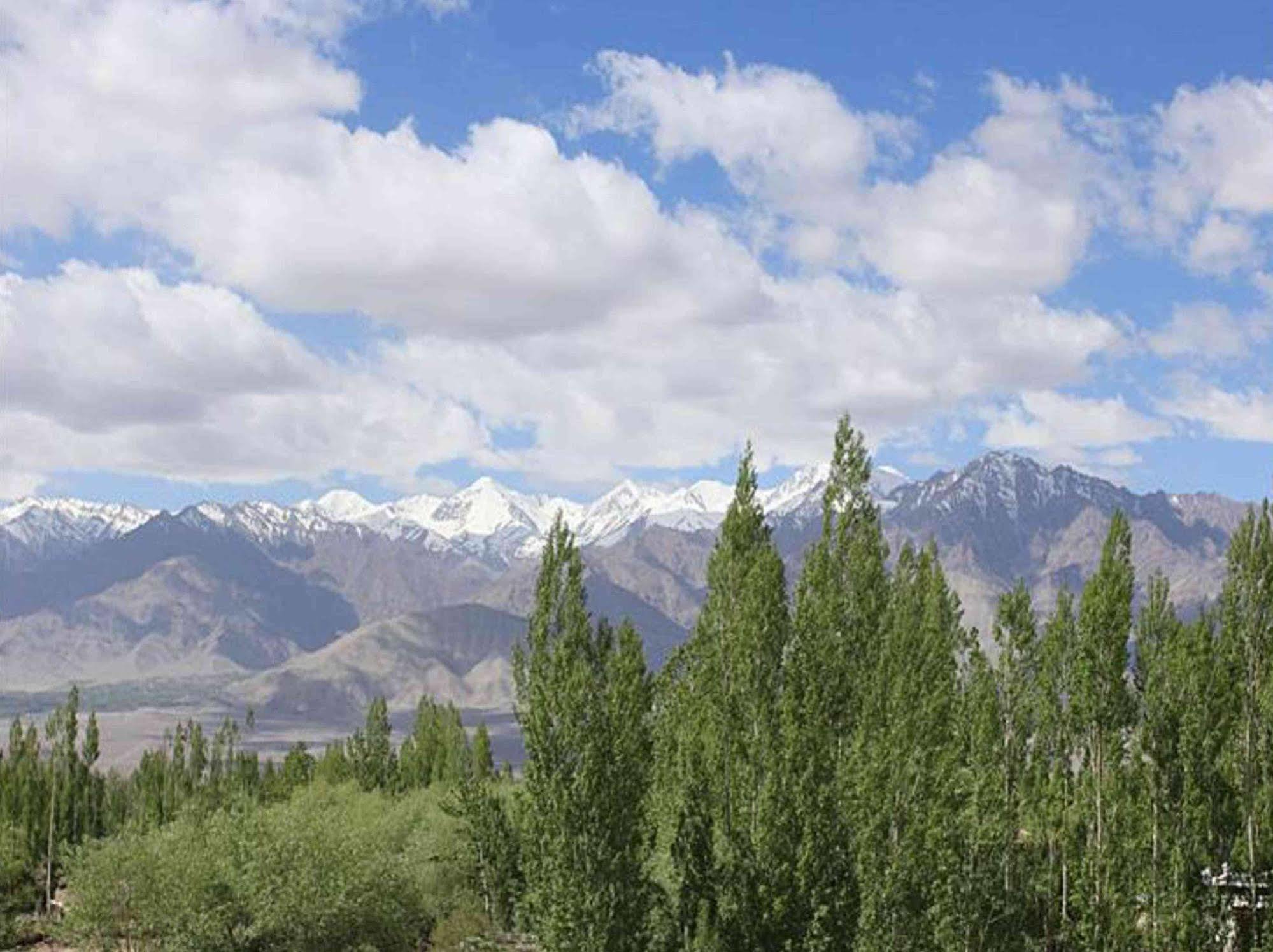 Hotel Mahay Palace Leh Exterior foto